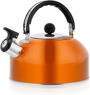 3L Tea Kettle, Stainless Steel Whistles Camping Bottle, Lightweight Teapot for Camping Trips Hiking Cooking Barbecue