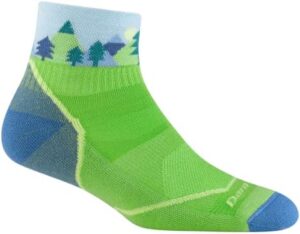 Darn Tough Jr. Quest 1/4 Lightweight with Cushion Sock (Style 3041) -