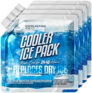 Reusable Ice Packs for Cooler (4 Pack) Up to 48 Hours Freezer Packs for Coolers and Lunch Boxes | 10 x 10 in | Cooler Ice Packs for Camping, Fishing, Beach, Road Trips