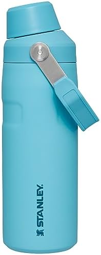 Stanley IceFlow Fast Flow Water Bottle 16-50 OZ | Angled Spout Lid | Lightweight & Leakproof for Travel & Sports | Insulated Stainless Steel | BPA-Free