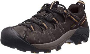 KEEN Men's Targhee 2 Low Height Waterproof Hiking Shoes