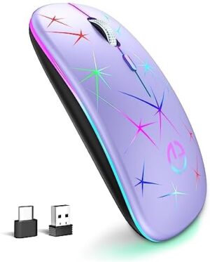 TaIYanG Wireless Mouse, 2.4G Portable Optical Quiet RGB Mouse with USB Receiver and Type C Adapter, 3 Adjustable DPI Levels, Wireless Computer Mouse for Laptop, Computer, PC, MacBook, Desktop