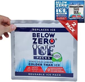 Below Zero Reusable Ice Packs for Large Coolers and Lunch Bags – Patent Pending Coldest and Longest Lasting Technology, 48 Hour Cooling Ice Gel Pack - Large 10”x9”