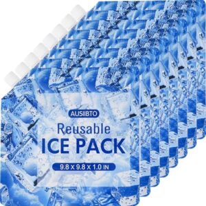 Reusable Ice Packs for Cooler (8 Pack), Extended Cooling Up to 48 Hours, Cooler Ice Packs Ideal for Camping, Fishing, Beach, Road Trips - 9.8 x 9.8 in