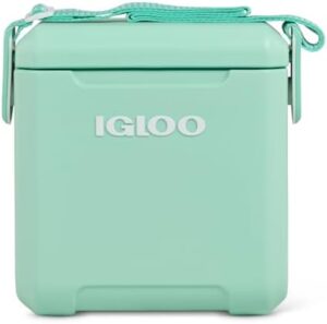 Igloo 11 Qt Tag Along Too Strapped Picnic Style Cooler