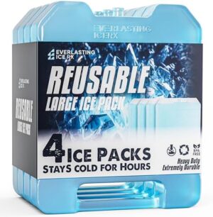 Everlasting Ice RX Large Reusable Ice Packs for Cooler with Handle (4 Pack) Long Lasting Coolness, BPA Free, Freezer Packs for Extended Cooling | Cooler Ice Packs for Camping, Fishing, Hiking, Beach