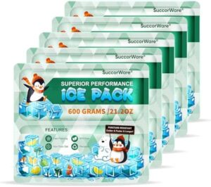 5 Packs Reusable Ice Packs for Lunch Boxes - 12+ Hour Cooling Ice Gel Pack for Camping, Beach, Office - Ice Packs for Cooler Bag, Cooler Backpacks