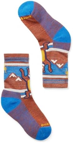 Smartwool Boys Light Cushion Hiking Bear Crew Socks (Toddler/Little Big Kid)