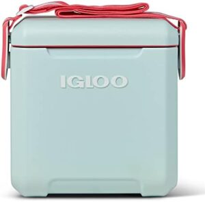 Igloo 11 Qt Tag Along Too Strapped Picnic Style Cooler